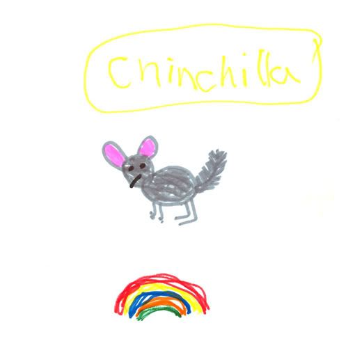 chinchilla.jpg