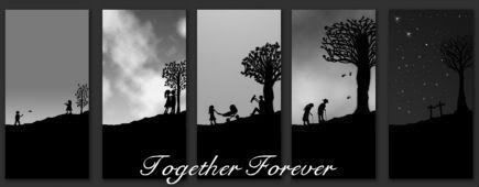 Grey together forever Pictures, Images and Photos