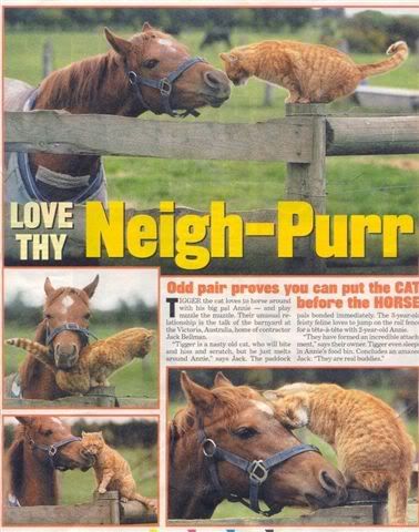 b7e7.jpg Neigh_Purrr.jpg image by marlenenoah