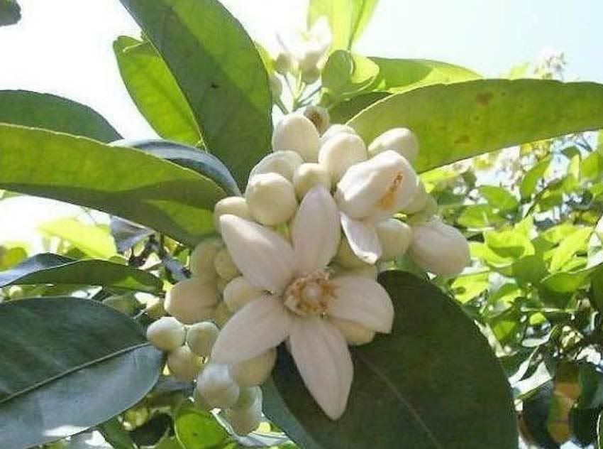В половом акте как продлить удоволствия