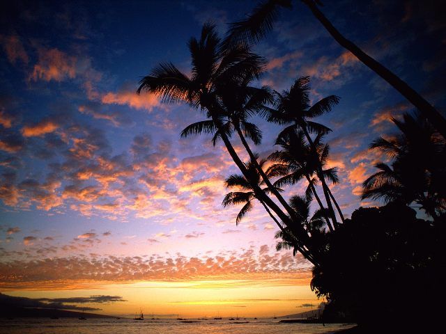  photo Hawaii-Beach-Sunset.jpg