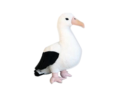 Albatross-small.png