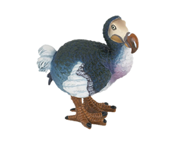 Dodo-Small.png