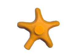 Starfish-small.png