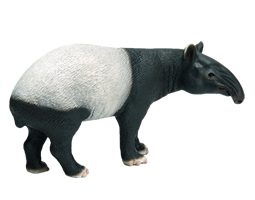 Tapir-smallfw.png