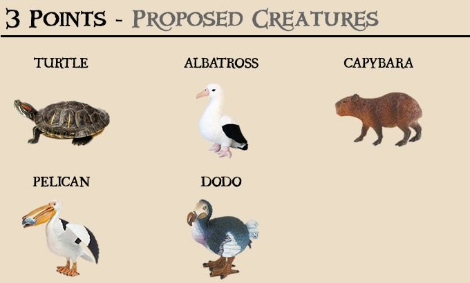 animals-3point-proposed-1.jpg