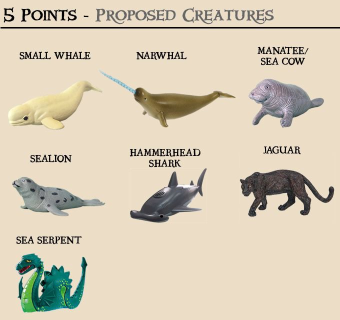 animals-5point-proposed-3.jpg