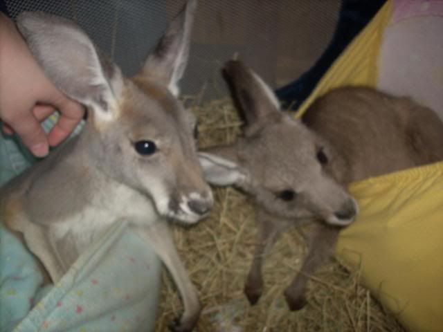 DSCN6159.jpg
