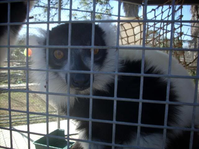 DSCN6170.jpg