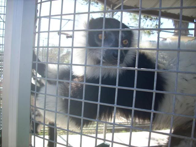 DSCN6172.jpg