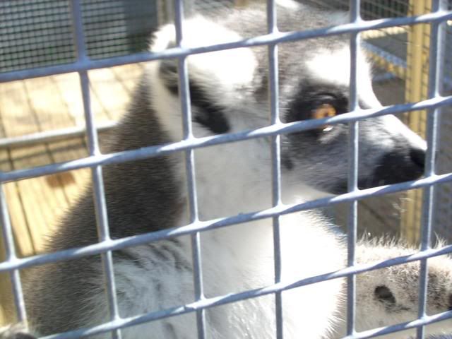 DSCN6182.jpg