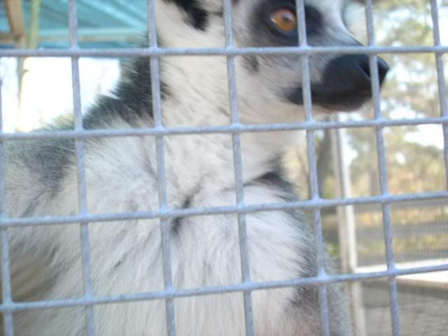 DSCN6188.jpg