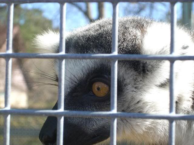 DSCN6189.jpg