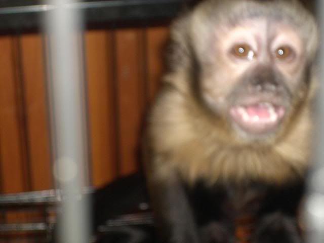 DSCN6282.jpg