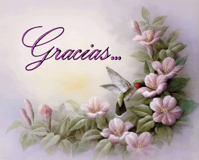 Hummingbirdsgracias.gif picture by aynyra