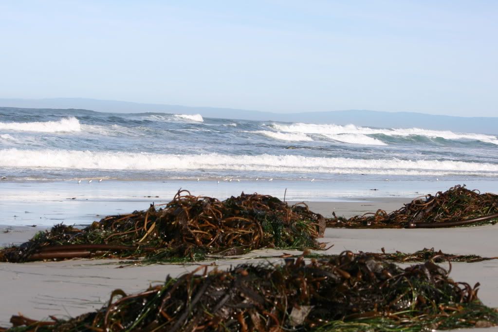 IMAGE: http://i185.photobucket.com/albums/x145/KCmike1969/IMG_0546.jpg