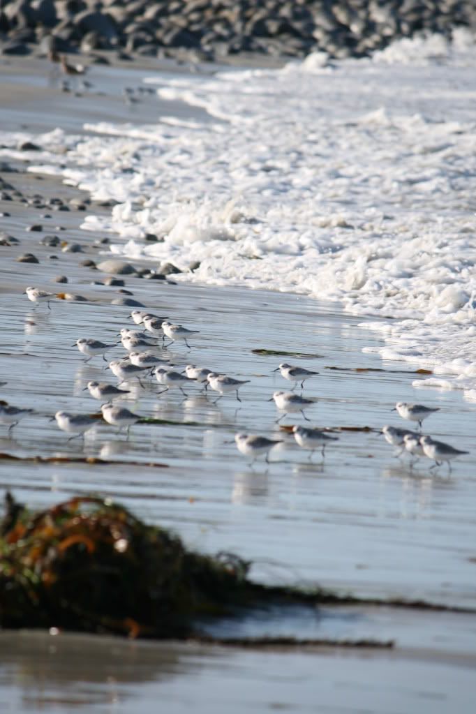 IMAGE: http://i185.photobucket.com/albums/x145/KCmike1969/IMG_0571.jpg