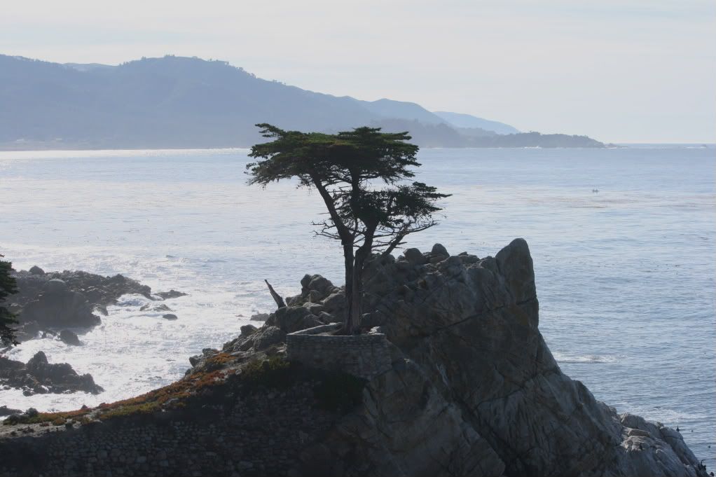 IMAGE: http://i185.photobucket.com/albums/x145/KCmike1969/IMG_0632.jpg