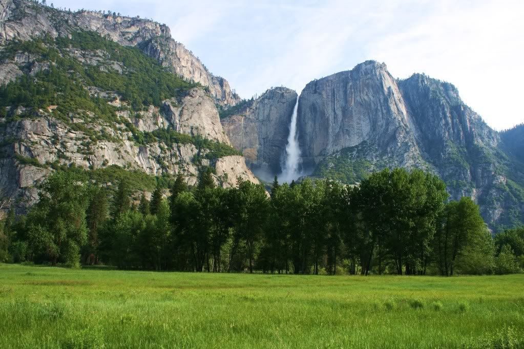 IMAGE: http://i185.photobucket.com/albums/x145/KCmike1969/IMG_2508-1.jpg