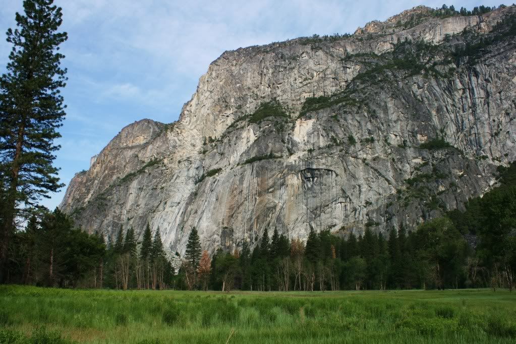 IMAGE: http://i185.photobucket.com/albums/x145/KCmike1969/IMG_2510.jpg