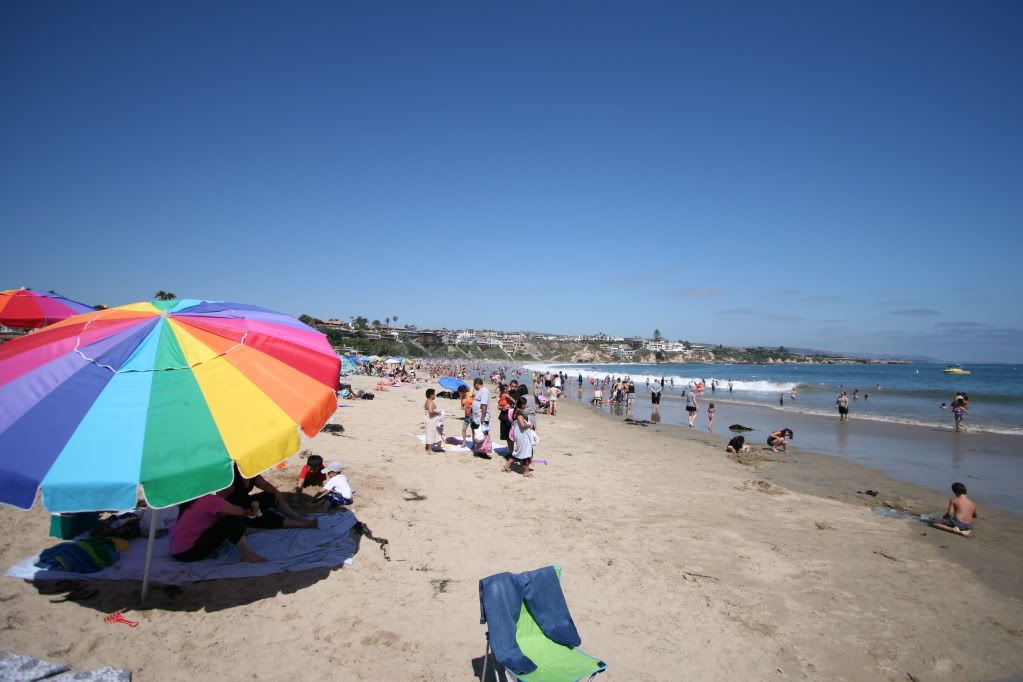 IMAGE: http://i185.photobucket.com/albums/x145/KCmike1969/IMG_8006.jpg