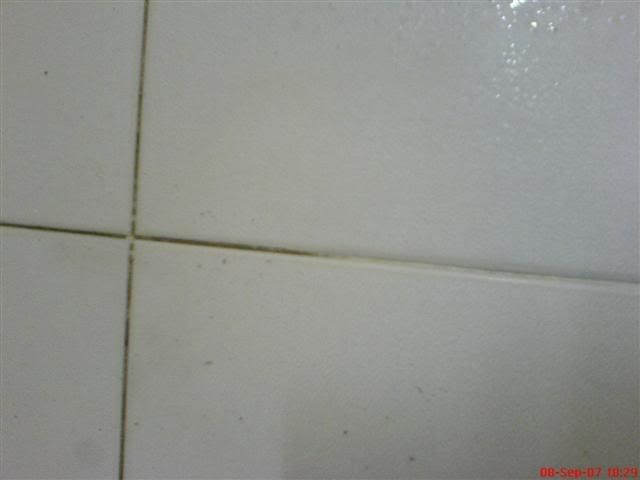 grout11.jpg