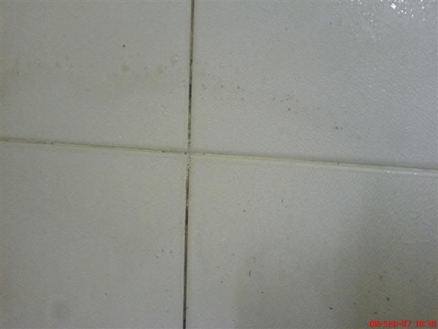 grout12.jpg