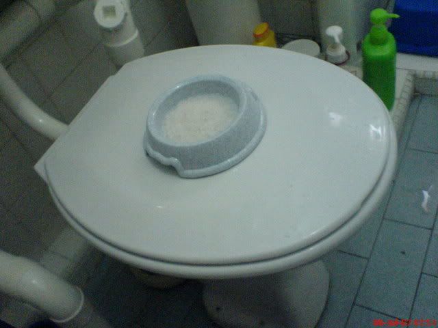 toiletbowl.jpg