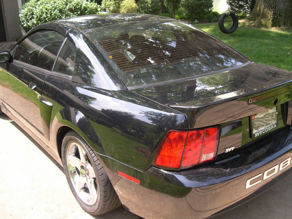 hootersgtg07007n.jpg