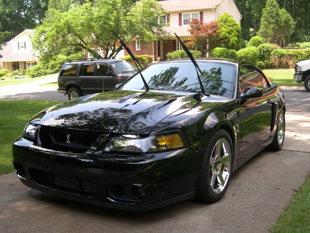 hootersgtg07019.jpg