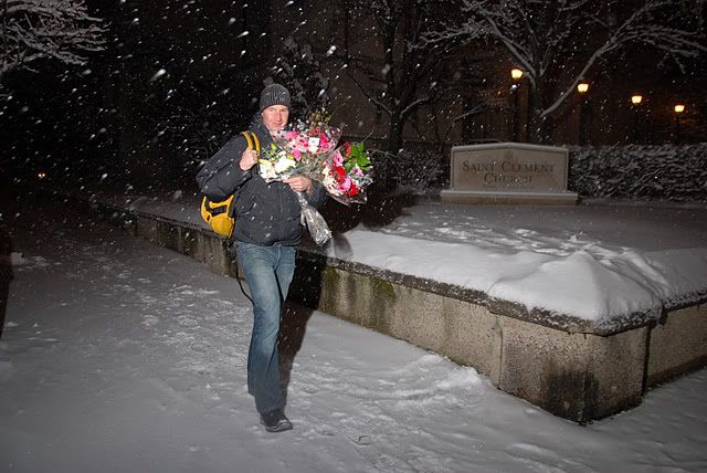 flowers in snow by phlash 