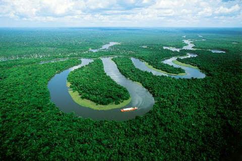 The Amazon River Pictures, Images and Photos
