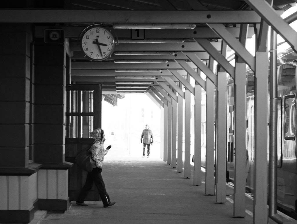 DSC02367.jpg~original