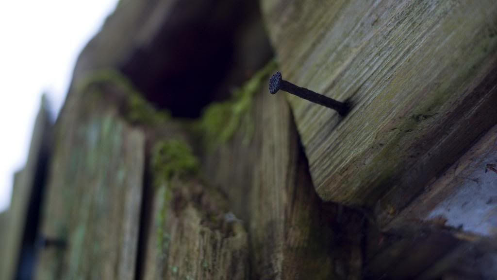 DSC02720.jpg~original