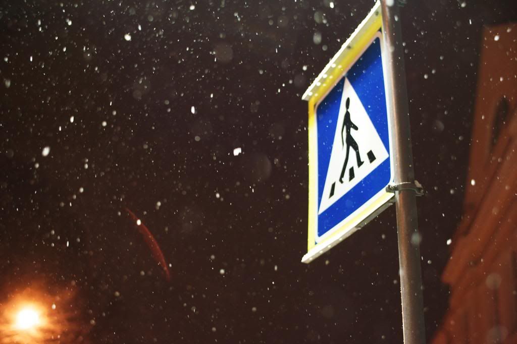 DSC02958.jpg~original