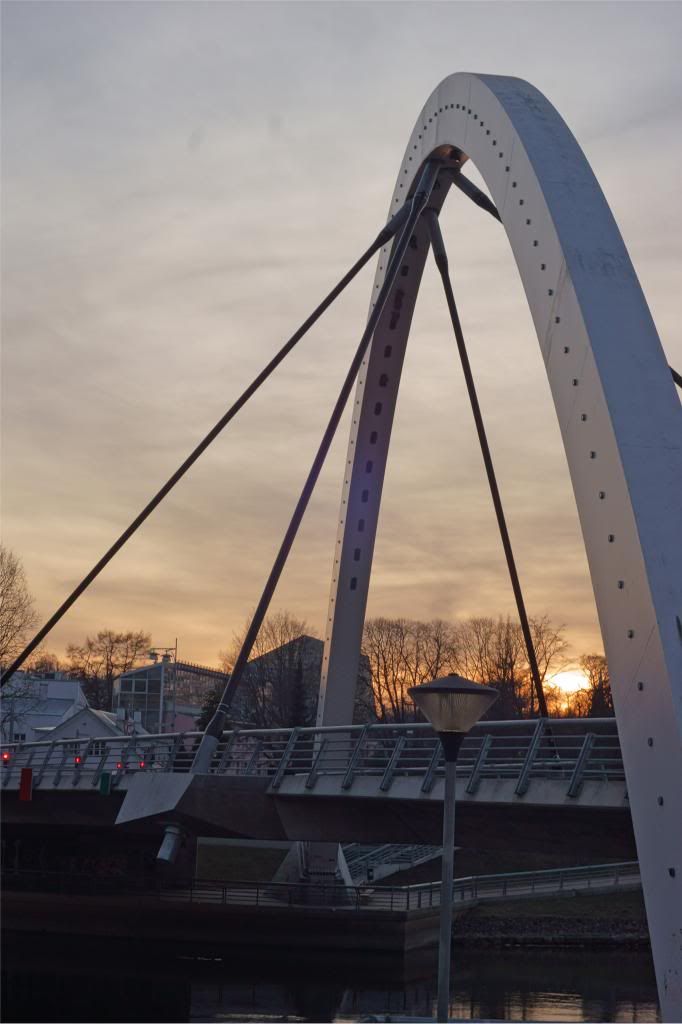 DSC03085.jpg~original