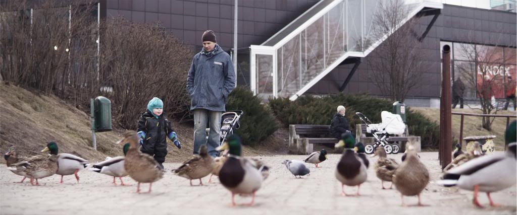 DSC03220.jpg~original