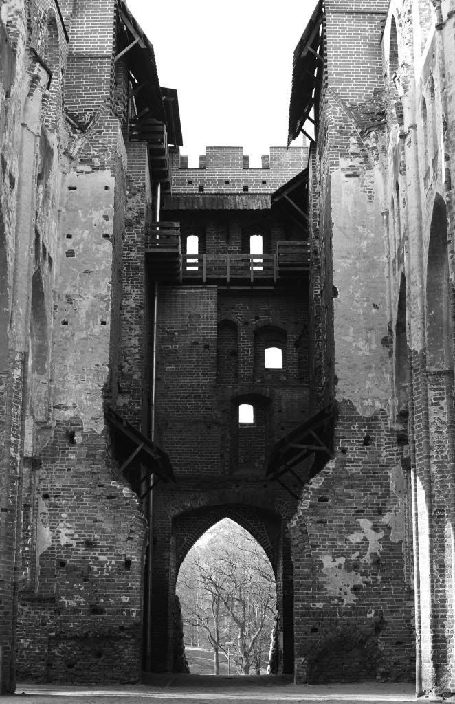 DSC03266.jpg~original