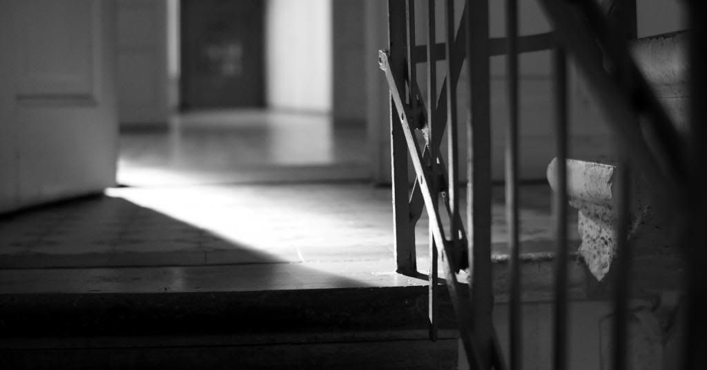 DSC03347.jpg~original