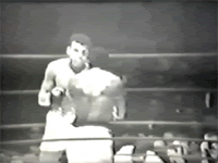 -Ali.gif