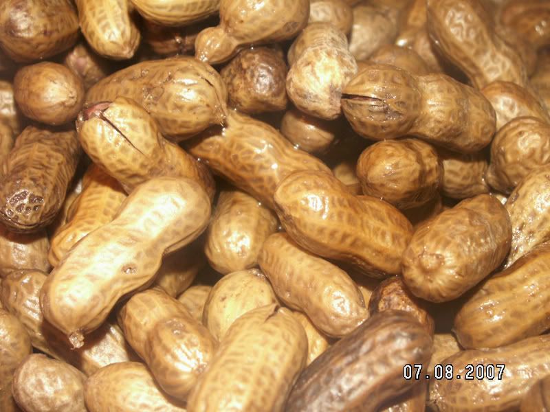 boiledpeanuts-1.jpg