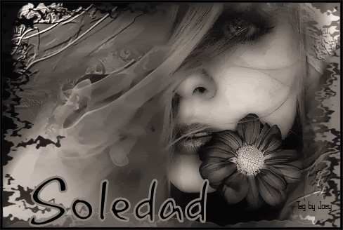 SOLEDAD1.gif picture by OSADIA_2007