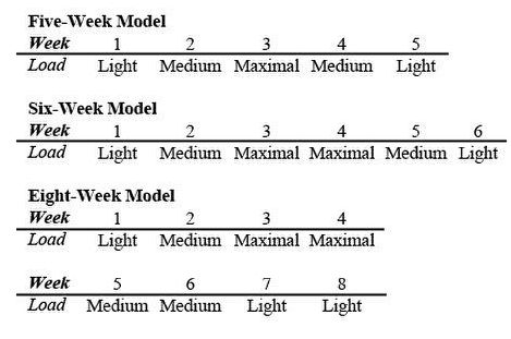 HFMModel.jpg