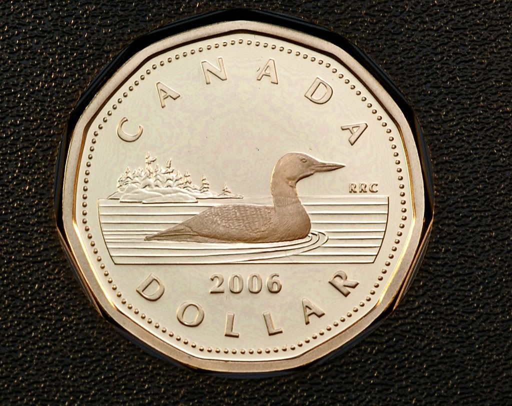 canadian2006loonie-1.jpg