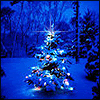 thChristmas12.gif Chirstmas Tree image by Rokengaara