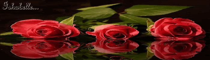 Roses2-2.gif picture by ishabelle_bucket