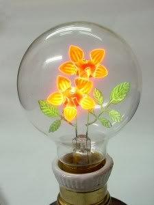Luz Luz