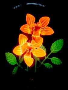 iluminacion iluminacion