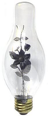 Luz Luz