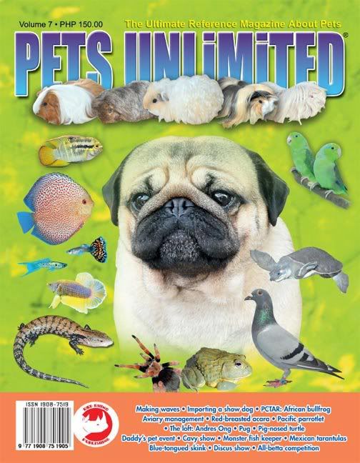 pets unlimited pets unlimited